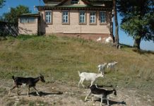 Не было бы счастья. Страшный диагноз изменил жизнь самарца в лучшую сторону